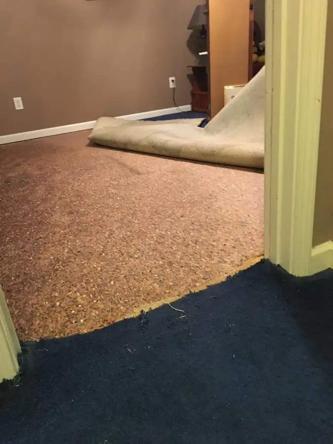 Carpet pad removal revealing water damage during Water Mitigation Services in Fort Collins
