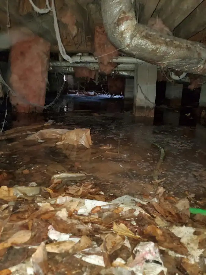 Crawl space flood assessment for Commercial Water Damage Restoration in Fort Collins