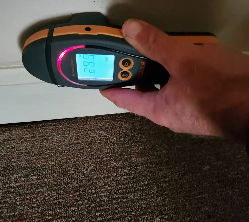 Moisture detection at baseboard during Sewage Cleanup & Sanitation in Fort Collins